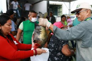 Imagem da notícia - Saúde alerta para cuidados na compra de pescado para a Semana Santa