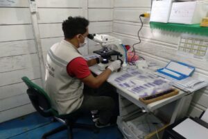 Imagem da notícia - Saúde encerra investigação de casos de doença de Chagas, em Amaturá