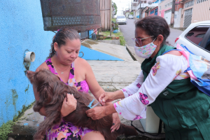 Imagem da notícia - Vacinação contra raiva: Amazonas segue em campanha para prevenção da doença em cães e gatos