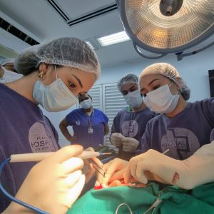 Imagem da notícia - Saúde realiza jornada de cirurgias e dia de intensificação de consultas em dermatologia